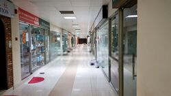 Balestier Plaza (D12), Shop House #435805411